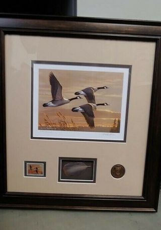 2017 - 2018 Framed Ducks Unlimited Federal Duck Stamp Print