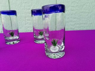 Tequila Shot Glasses Hand Blown Cobalt Blue Rim With Agave Set Of 4