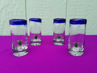 Tequila Shot Glasses Hand Blown COBALT BLUE RIM with Agave Set of 4 2