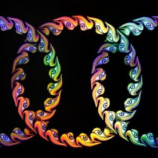 Tool - Lateralus - Limited 2 X 180gram Picture Disc Vinyl Lp &