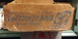 Vintage Antique Wood Table Grapes California Fruit Crate Box McCloskey Bros. 4