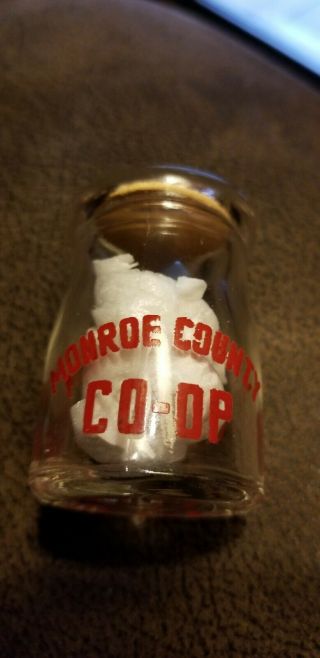 Brodheadsville,  Pa Monroe County Co - Op Creamer With Cap