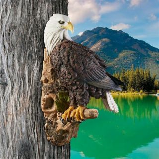Outdoor American Bald Eagle Wall Sculpture Garden Tree Statue Patriotic Bird Art