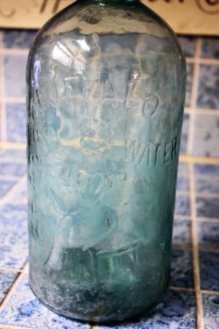 Early 1880 ' s Aqua Blue Glass Buffalo Lithia Springs Water Bottle 2