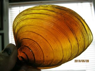 A COLOR 1/2 PINT CLAM SHELL FIGURAL EARLY 1900 ' S FLASK with CAP 2
