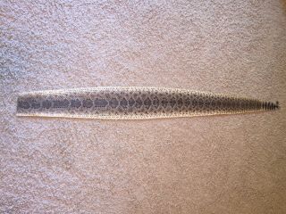 Rattlesnake Skin Craft Taxidermy 65 Incher
