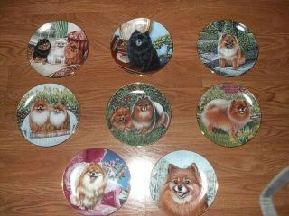 Pomeranian Dog Plates,  8 Set,  Danbury