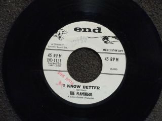 Northern Soul The Flamingos I Know Better End 1121 Dj