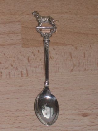 Rare Antique Irish Water Spaniel Association Solid Silver Dog Spoon 1936