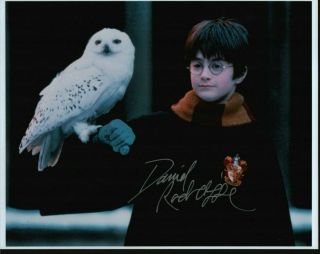 Daniel Radcliffe Hand Signed Autographed 11x14 Photo W/coa - Harry Potter