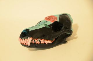 Custom Black And Turquoise Painted Coyote Skull With Rose