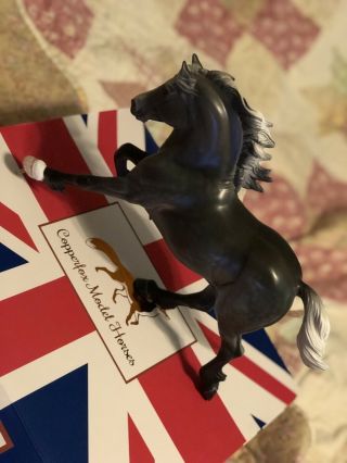 Copperfox Model Horse Gibson Matte Dark Dapple Welsh Cob