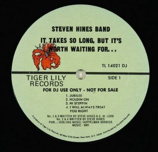 Steven Hines Band - It Takes So Long LP - Tiger Lily Tax Scam Funk Rock VG, 2