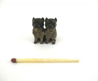 Austrian Bronze 2 Miniature Pug Dogs Figure Group 3/4 " High