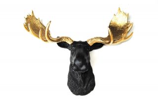 Faux Resin - Black Moose - Metallic Gold Antlers - Faux Taxidermy Moose M1708