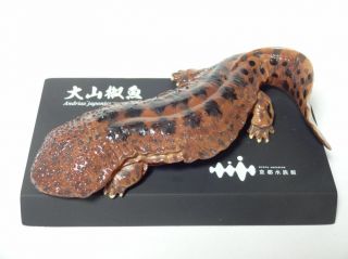 Kaiyodo Kyoto Aquarium Exclusive Giant Salamander Polyresin Figurine Figure Rare