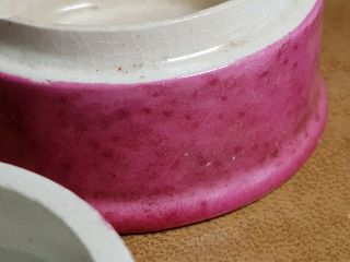pink atkinson oriental tooth paste pot lid and base 6