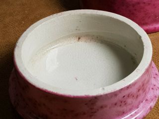 pink atkinson oriental tooth paste pot lid and base 8