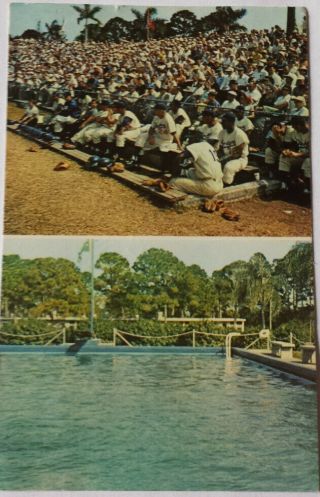 Vintage Post Card Of Dodgertown,  Vero Beach,  Florida Signed By Walter O 