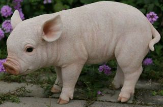 Standing Pig Large Cute Adorable - Life Like Figurine Statue Home / Garden