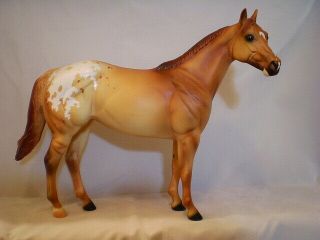 Peter Stone Horses Thhn Sr 2000 " Legacy " Dun Grulla Appaloosa Ideal Stock Horse