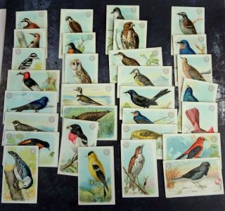 1915 Arm & Hammer Card Series 1 Full Set Of 30 Useful Birds Of America Cardinal