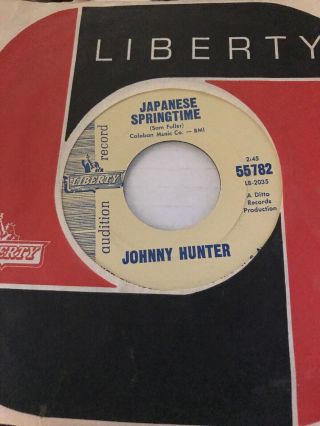 Johnny Hunter - If The Things In My Room Could Talk / Japanese Springtime (7