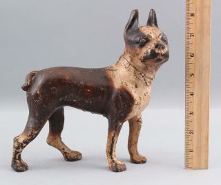Antique 19thc Hubley Cast Iron Brown Boston Terrier Dog Doorstop Nr