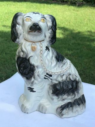 Antique Staffordshire Spaniel Dog Black And White Fine Details And Paint 10 "