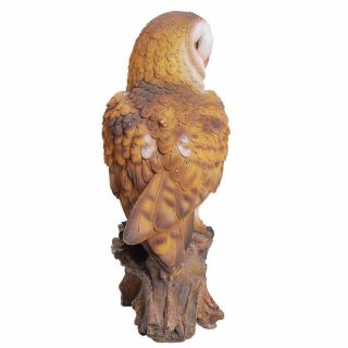 Realistic Looking Barn Owl Perched On Stump Statue Life Size Statue 3