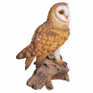 Realistic Looking Barn Owl Perched On Stump Statue Life Size Statue 4