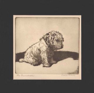 The Inconsolable Dog Print 1935 By Diana Thorne Sealyham Terrier Black Mat 12x12