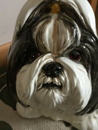 Large Shih Tzu Realistic Life Like DOG Figure BLACK WHITE Pottery Glazed Statue 4