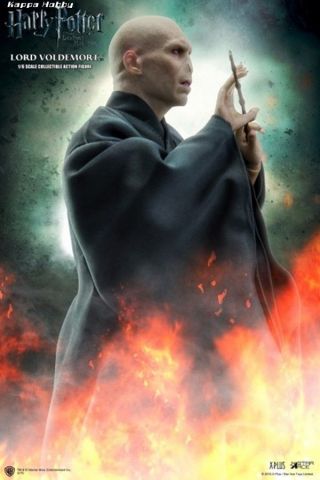 Star Ace 1/6 Collectible Action Figure - Harry Potter: Lord Voldemort 6