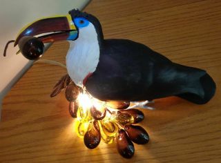 White Throated Toucan On Grapes Lamp