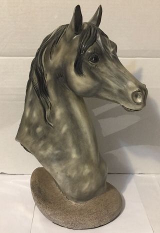 Atlantic Mold Arabian Horse Head Bust Statue 14.  5 Inches Tall Custom Paint