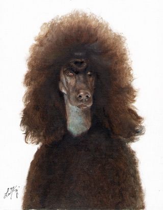 Oil Art Black Poodle Portrait Painting Dog Puppy Artist Signed Artwork
