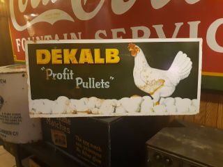 Rare 1950s Dekalb Profit Pullets Tin Metal Sign Chicken Feed Egg Farm