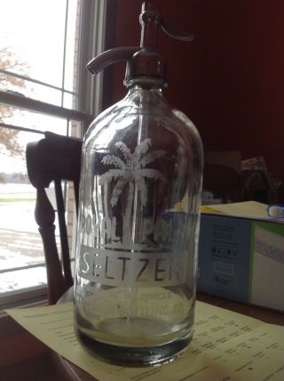 Terre Haute,  Indiana Royal Palm Coca Cola Etched Glass Acl Seltzer Bottle