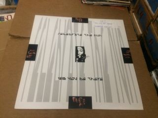 Celebrate The Nun Will You Be There Pic Sleeve Vinyl 12  V