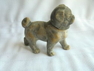 Antique Bulldog Composition Or Paper Mache Candy Container
