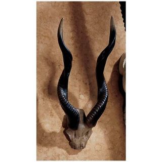18 " H Classic African Kudu Horns Wall Skull Sculptural Decor Trophy