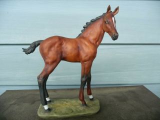 Wonderful Hand Painted Kaiser Bay Horse Foal Germany