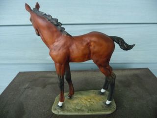 WONDERFUL HAND PAINTED KAISER BAY HORSE FOAL GERMANY 2