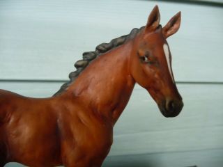 WONDERFUL HAND PAINTED KAISER BAY HORSE FOAL GERMANY 3