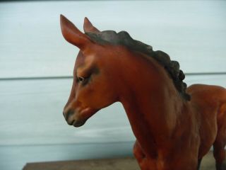 WONDERFUL HAND PAINTED KAISER BAY HORSE FOAL GERMANY 4