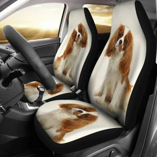 Cavalier King Charles Spaniel Print Car Seat Covers -
