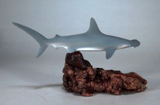 Hammerhead Shark Sculpture Direct From John Perry 12in Long Airbrushed Decor