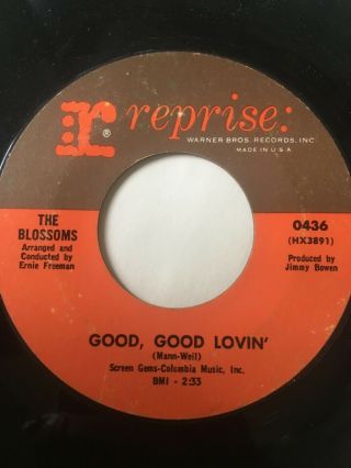 Northern Soul 45/ The Blossoms " Good Good Lovin " Hear