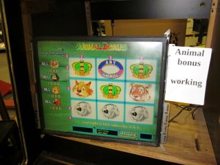 Amcoe Animal Bonus Slot Machine Arcade Game Board